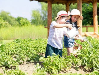“农业+研学”：激活乡土课堂，点燃乡村振兴新引擎