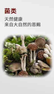菌类